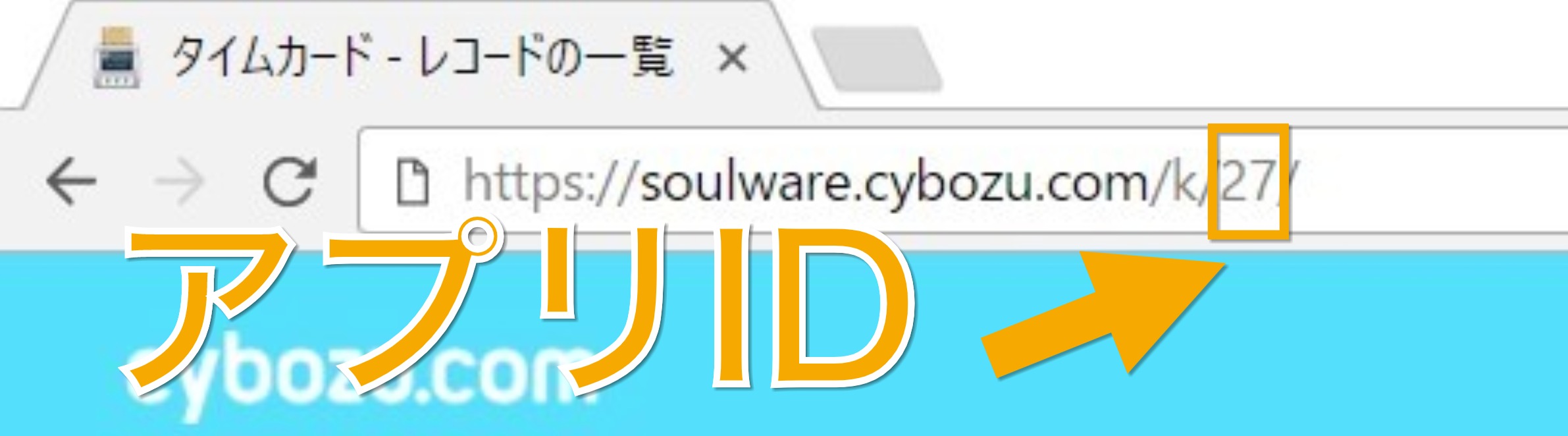 619b1bbbb7400.jpeg